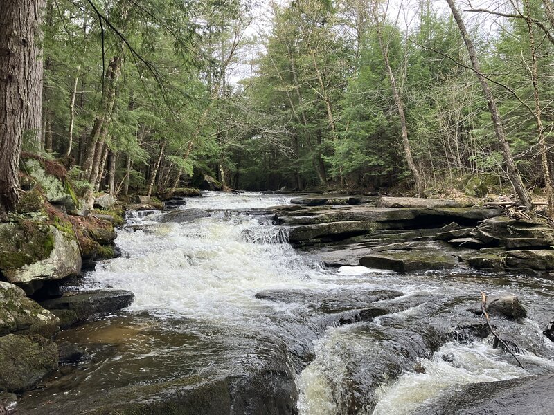 Upper Bicknell Brook Cascades.