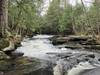 Upper Bicknell Brook Cascades.