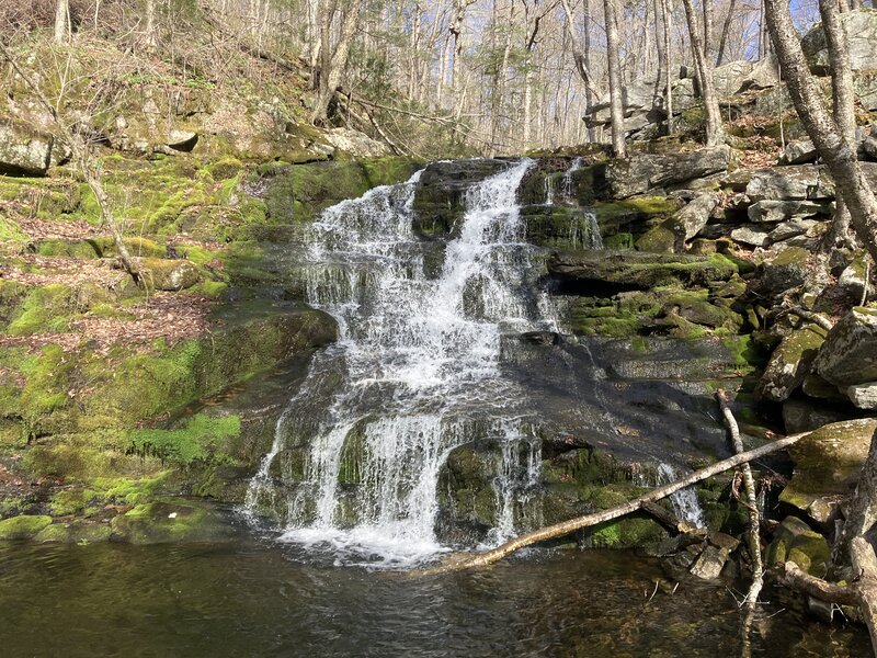 Falls Brook Falls.