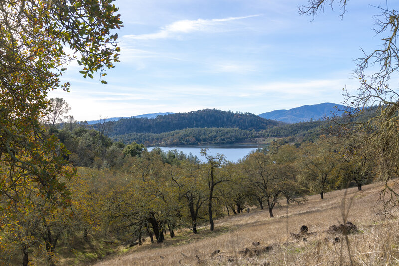 Lake Hennessey from Alta Hennessey Trail.