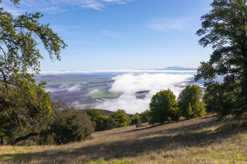 Clouds above the Petaluma River marsh.