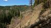The Coeur d'Alene River National Recreation Trail climbs in the Coeur d'Alene Mountains of northern Idaho.