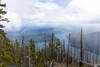Lake Cushman from Mount Rose.