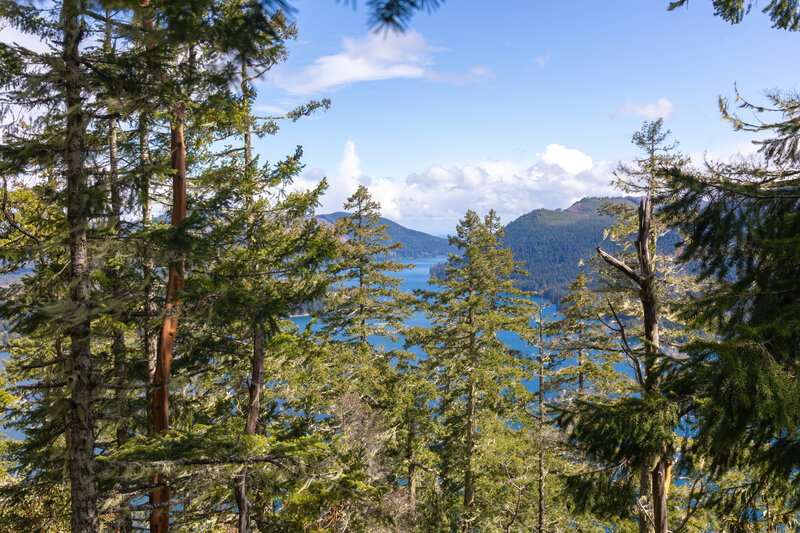 Lake Cushman on the ascent to Mount Rose.