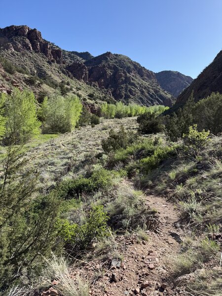 The trail down into the valley.