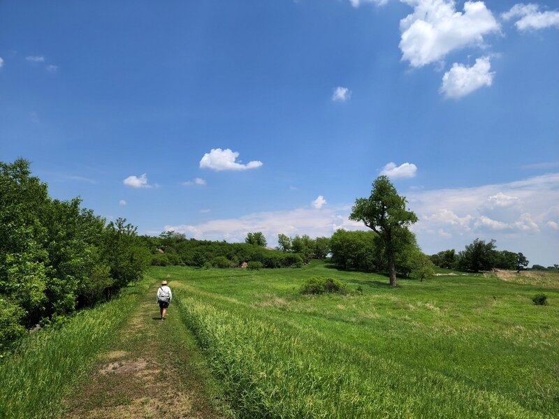 Going toward Upper Mound Lake on the Mound Creek Trail.