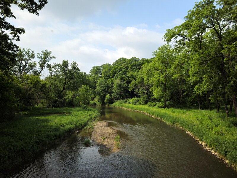 South Branch of the Middle Fork of the Zumbro River from Second Bridge.