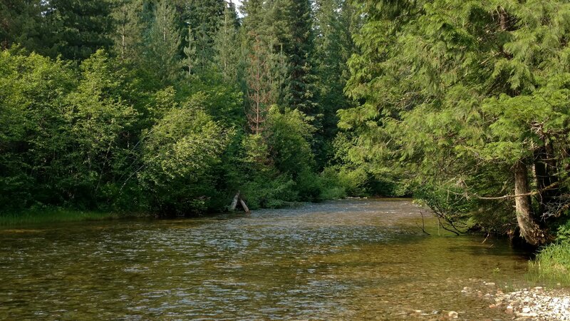 Idaho Trail/Upper Priest Lake Trail runs along Caribou Creek.