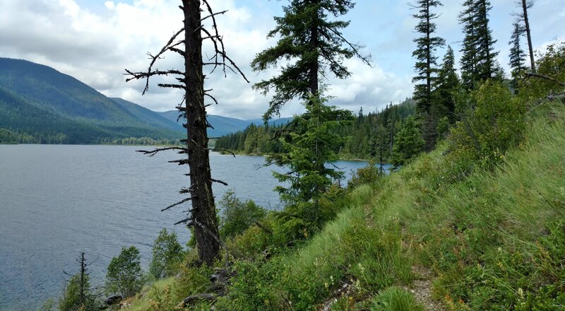 The northeast end of Upper Priest Lake, set in the beautiful mountains of northern Idaho, is seen from a grassy open spot along the trail.