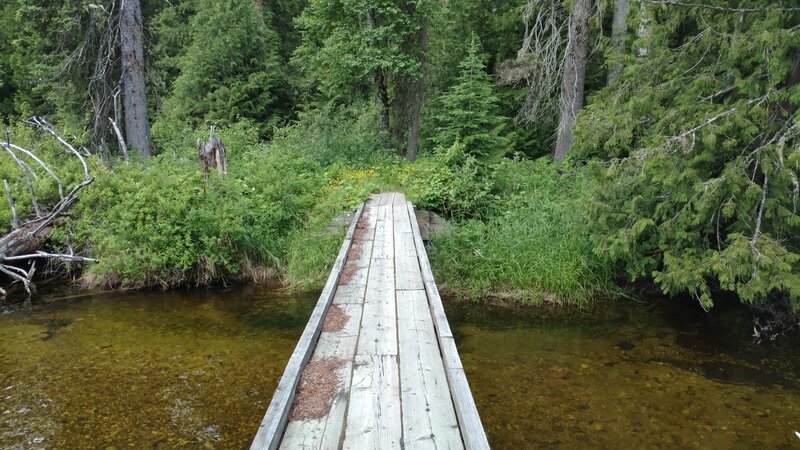 Nice bridge across Trapper Creek.