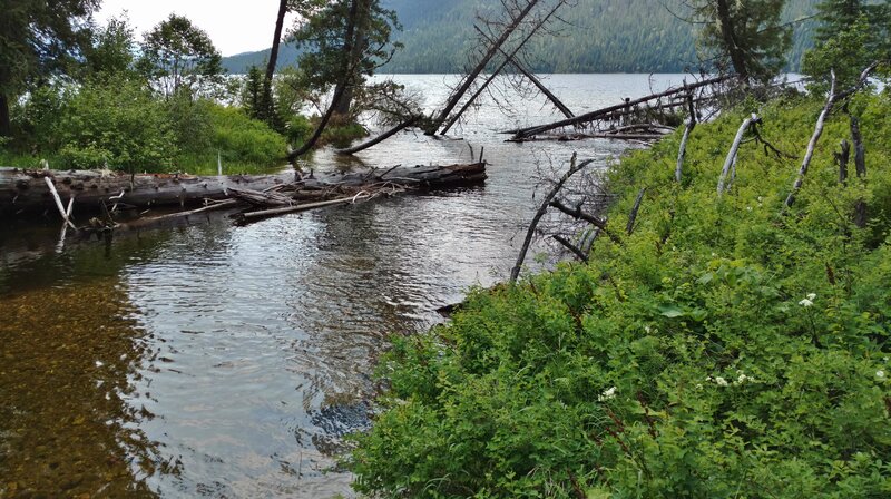 Trapper Creek empties into Upper Priest Lake at the lake's northeast corner.