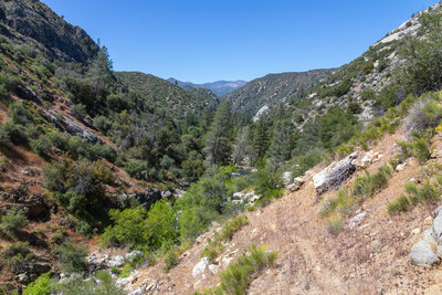 Looking back towards the Kern River valley.