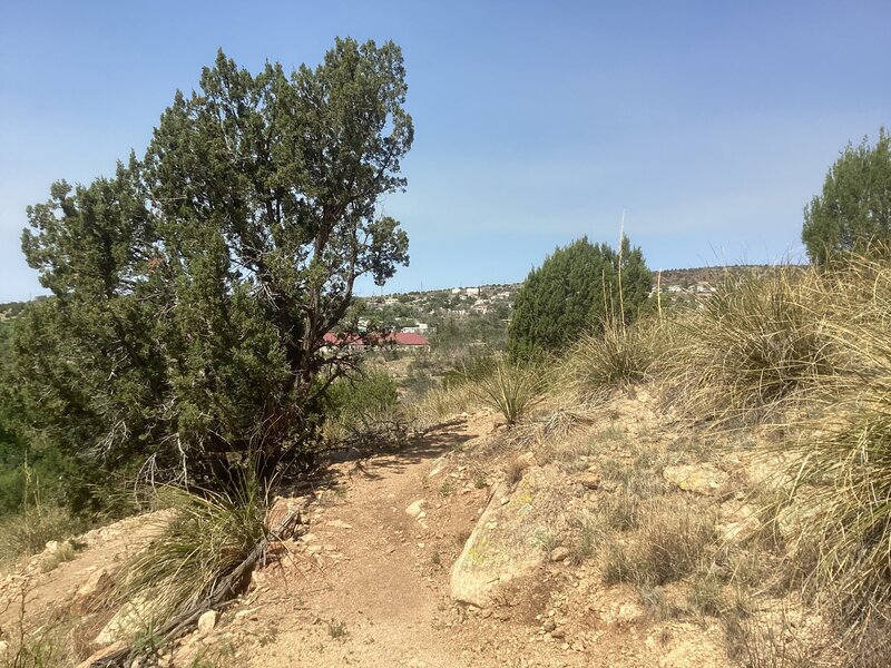 Descending toward San Vicente Creek from the Kelly Street Trailhead.