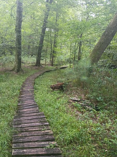 Raised paths in flood zones.