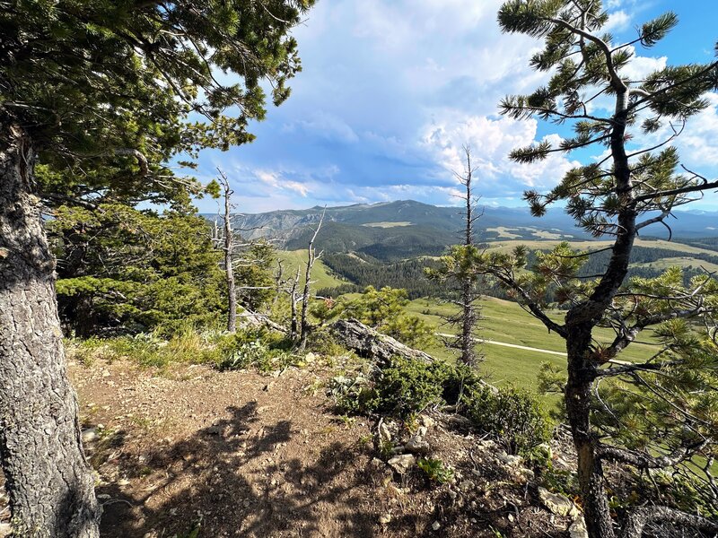 Looking across alpine meadows towards Blacktooth Mountain.