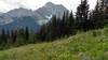 Mount Aosta, 9,823 ft., ahead, as the trail travels through summer wildflowers in this grassy avalanche chute.