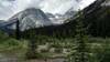 Glaciated peaks ahead as the trail crosses the flood plain of Petain Creek.