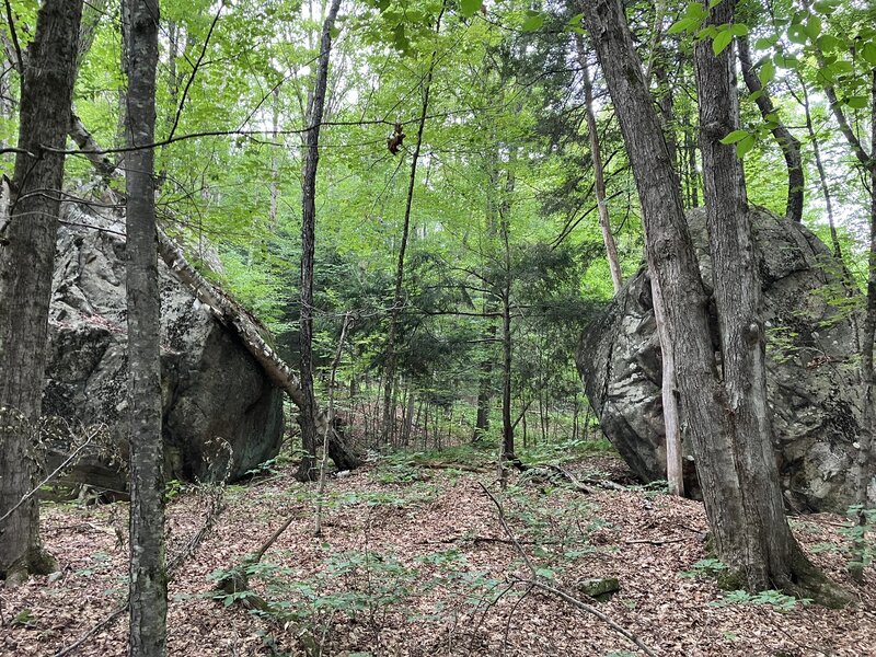 Cathedral Rocks.