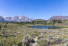 A small lake along the Reversed Peak Loop