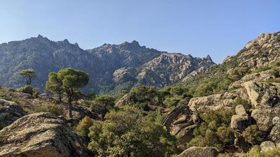 Mountains covered with stone pines.