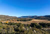Cottonwood Valley.