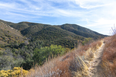 Climbing out of the Agua Caliente Canyon.