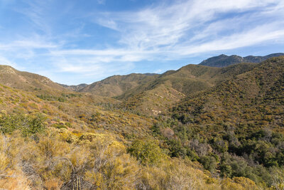 The Agua Caliente Canyon