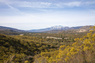 Snow covered San Jacinto Peak looming in the distance.