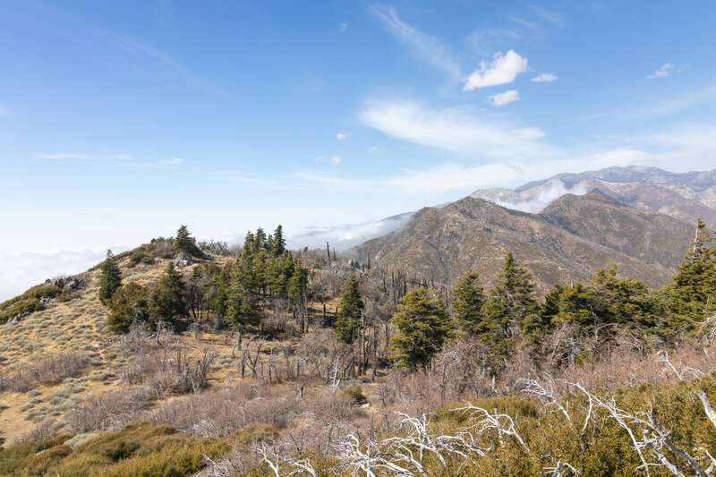 The San Jacinto Mountains