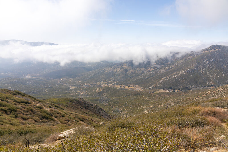 Fobes Canyon