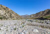 The first crossing of Mission Creek.