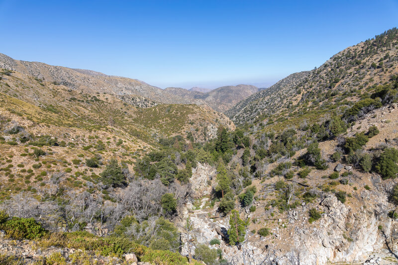 A look back down North Fork Mission Creek.