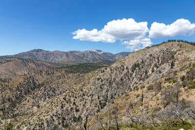 The upper portion of North Fork Mission Creek.