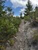 Trail is steep and gouged out in sections.
