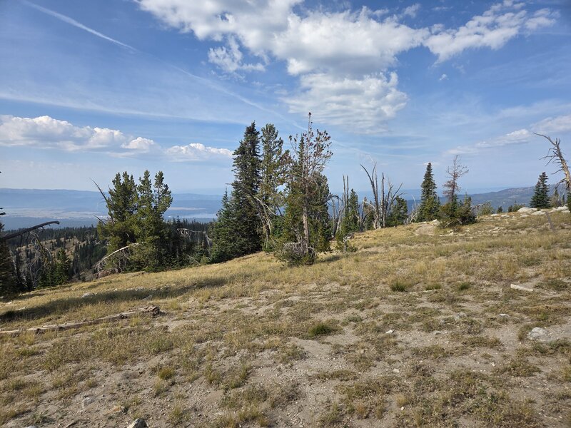 Near the summit looking southeast.