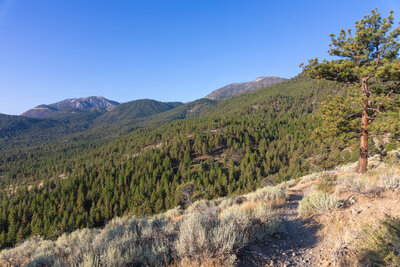 Slide Mountain and Mount Rose in the distance.