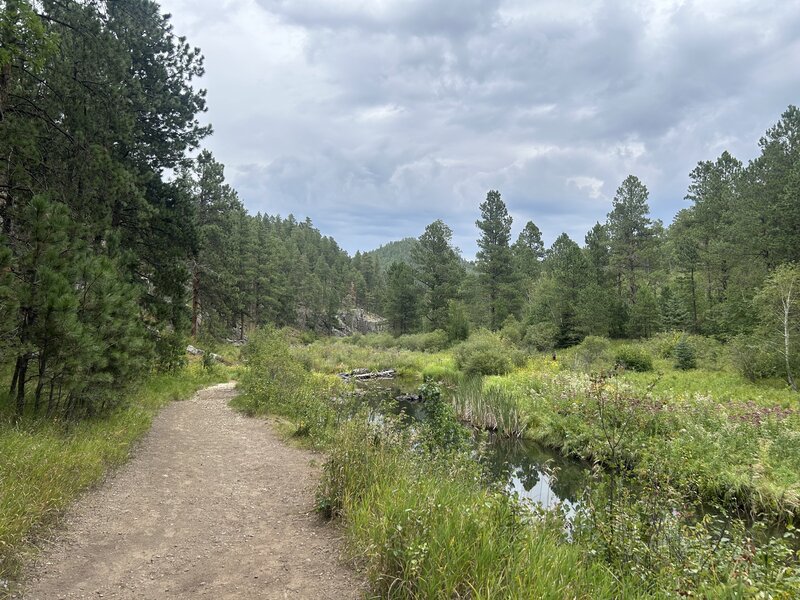 Trail back to parking area following Spring Creek.