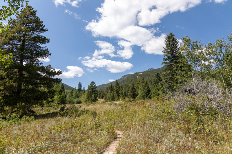Up the valley on Dark Mountain Trail.