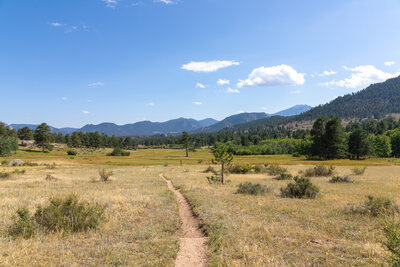The meadows along Black Canyon Trail.