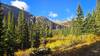 Ice Lake Trail