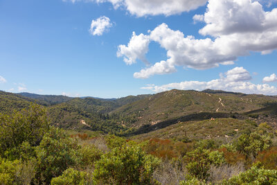 Deep Creek and the Splinters Cabin area.