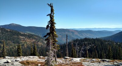 Cabinet Mountains (right) in the far, far distance. Nearer, Roman Nose Peak (left) rises from the ridge on the far side of the Pack River valley. Closer by are forested ridges of two Pack River tributaries. Seen looking east, high on Chimney Rock Trail.