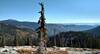 Cabinet Mountains (right) in the far, far distance. Nearer, Roman Nose Peak (left) rises from the ridge on the far side of the Pack River valley. Closer by are forested ridges of two Pack River tributaries. Seen looking east, high on Chimney Rock Trail.