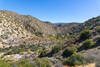 The hills are bare west of Lion Canyon