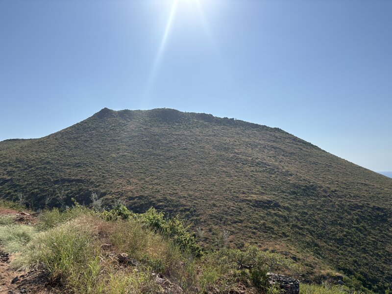 Cerro Punta Lobos