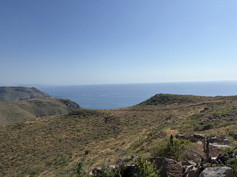 Pacific views