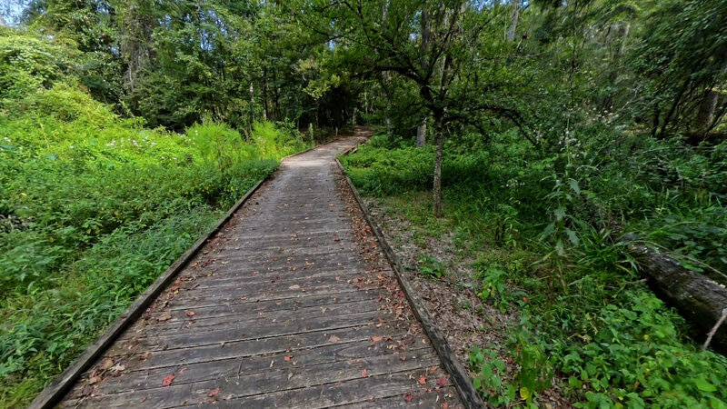 Walking across boardwalk.
