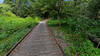 Walking across boardwalk.