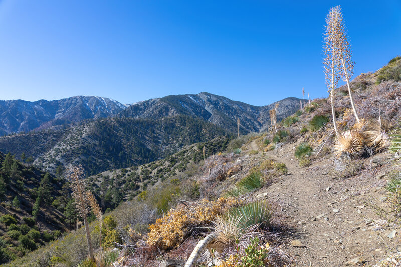 Snow dusted Mount Baldy and Pine Mountain.