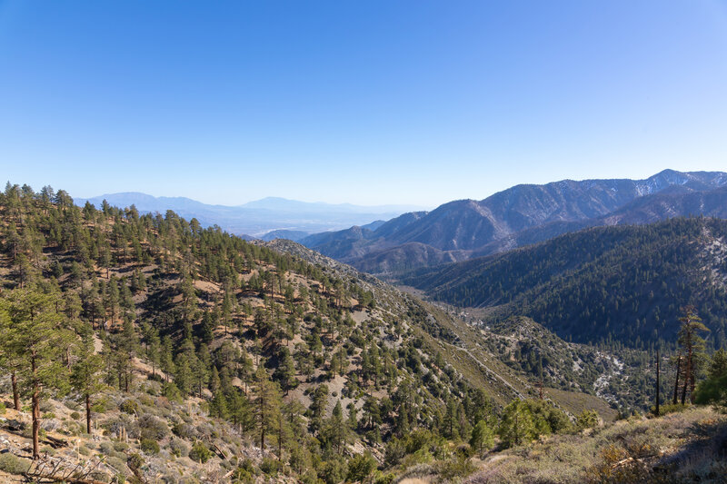 Lytle Creek Canyon